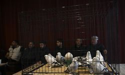 Ankara'da '24. Uluslararası Şebap Güvercin Festivali' düzenlendi