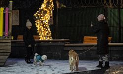 Ankara'da kar yağışı etkili oluyor