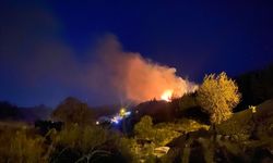 Antalya'da ormanlık alanda yangın çıktı