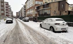 Ardahan-Kars kara yolu kar ve tipi nedeniyle kapatıldı