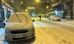 Ardahan'da kar yağışı etkisini sürdürüyor