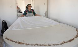 Balıkesir'de kurulan kooperatif yaklaşık 100 kadına gelir kapısı oldu