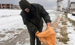 Batman'da kuşlar için doğaya yem bırakıldı