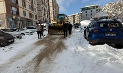 Bingöl, Şırnak ve Elazığ'da 222 yerleşim yerinin yolu ulaşıma kapandı