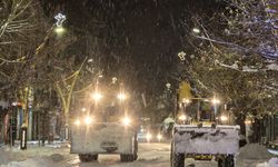 Bingöl'de kar yağışı etkisini sürdürüyor