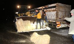 Bingöl'de tipide mahsur kalan büyükbaş hayvanlara saman desteği