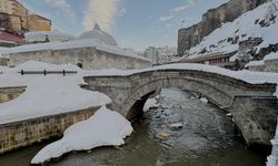 Bitlis'te tarihi yapılar beyaza büründü