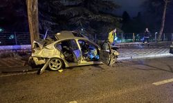 Bursa'da ağaca çarpan otomobildeki 2 kişi ağır yaralandı