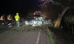 Bursa'da ağaca çarpan otomobildeki 2 kişi öldü, 2 kişi yaralandı