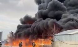 Büyükçekmece'de fabrikanın açık alanındaki yangına itfaiye müdahale ediyor