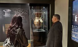 Çankırı Müzesi'ndeki milyon yıllık fosiller geçen yıl 39 bine yakın ziyaretçi çekti