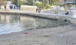 Datça'daki Kumluk Plajı'nda deniz suyu çekildi