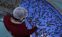 Devlet desteğiyle kurduğu fabrikada günde 100 bin paket glütensiz gıda üretiyor