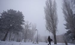 Doğu Anadolu'da 5 ilde soğuk hava ve sis etkili oluyor