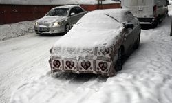 Doğu Anadolu'daki 5 ilde 551 yerleşim yerine kardan ulaşım sağlanamıyor