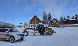 Doğu Karadeniz'de 400 köy yolunda karla mücadele sürüyor