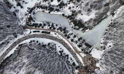 Domaniç Dağları'nda Kocayayla Sucuk Festivali yapıldı