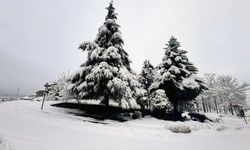 Düzce, Kocaeli, Bartın ve Zonguldak'ta kar etkili oldu