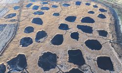 Edirne'deki Göl Baba sulak alanı buz tuttu