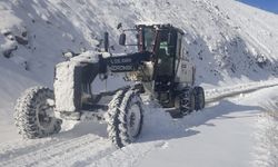 Elazığ'da kardan kapanan 164 köy yolu ulaşıma açıldı