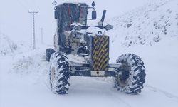 Elazığ'da kardan kapanan 175 köy yolu ulaşıma açıldı