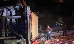 Erzincan'da devrilen tırdaki 47 büyükbaşı AFAD, itfaiye ve jandarma ekipleri kurtardı