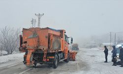 Erzincan'da etkili olan kar yağışı ve sis nedeniyle ulaşım güçlükle sağlanıyor