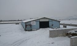 Erzincanlı genç girişimci devlet desteğiyle geleneksel hayvancılıktan modern üretime geçti