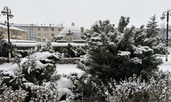 Erzurum, Ardahan, Kars ve Tunceli'de olumsuz hava koşulları etkili oluyor