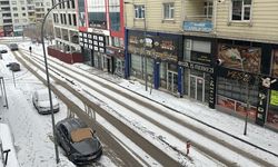 Erzurum, Kars, Ardahan ile Iğdır'da kar yağışı ve soğuk hava etkili oluyor