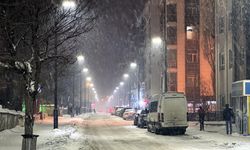 Erzurum ve Ardahan'da kar, Kars'ta sis etkili oluyor