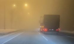 Erzurum'da yoğun sis etkili oldu