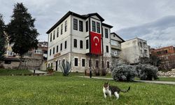 Fındığın bahçeden sofraya yolculuğunu anlatan müze yaklaşık 60 bin ziyaretçiyi ağırladı