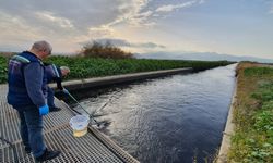 Geçen yıl 62 bin 583 çevre denetimi gerçekleştirildi