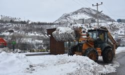 Gümüşhane ve Artvin'de 295 yerleşim yerine ulaşım sağlanamıyor