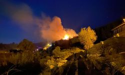 GÜNCELLEME - Antalya'da ormanlık alanda yangın çıktı