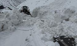 Hakkari-Şırnak kara yoluna düşen çığlar temizlendi