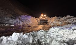 Hakkari-Van kara yoluna düşen çığ temizlendi