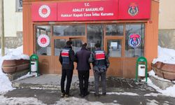 Hakkari'de 9 yıl 9 ay kesinleşmiş hapis cezası bulunan hükümlü yakalandı