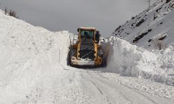 Hakkari'de mezra yoluna düşen çığ temizlendi
