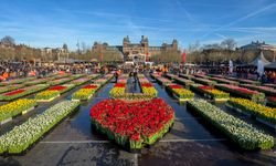 Hollanda'da 'Ulusal Lale Günü' etkinliği yapıldı