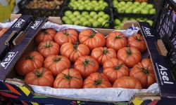 İstanbullular 2025'te en çok mandalina ve domates tüketti