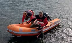 İzmir'de ayağına misina dolanan flamingo kurtarıldı