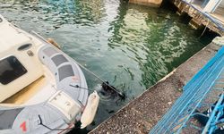 İzmir'de vapur iskelesinin altında mahsur kalan kediyi itfaiye ekipleri kurtardı