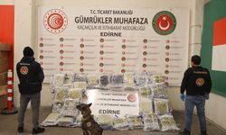Kapıkule'de tırda 144 kilo 732 gram uyuşturucu ele geçirildi