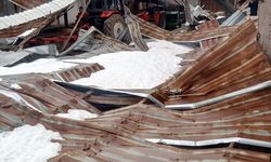 Karabük'te kar yağışı nedeniyle mandıranın çatısı çöktü