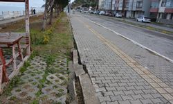 Karadeniz'in dalgaları sahil yolunu ve evleri tehdit ediyor