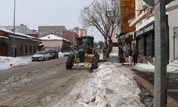 Kars'ta caddelerde biriken karlar kamyonlarla şehir dışına taşınıyor