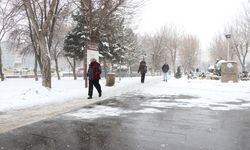 Kayseri'de kar yağışı ve soğuk hava etkili oluyor