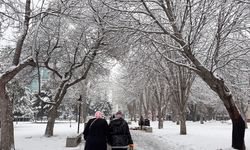 Kayseri'de soğuk hava etkili oluyor